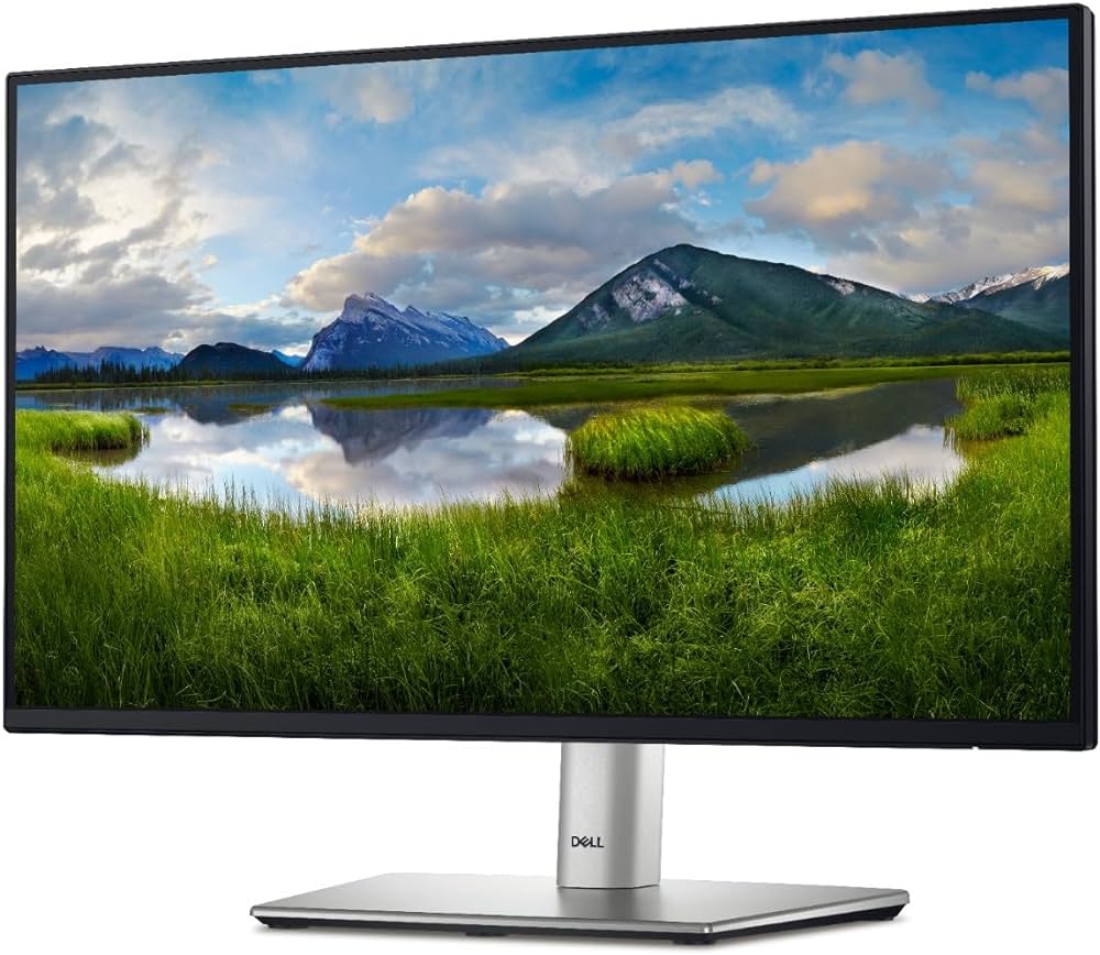 Dell P2422H - Monitor LED - 24